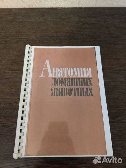 Учебник Анатомия домашних животных А.И. Акаевского