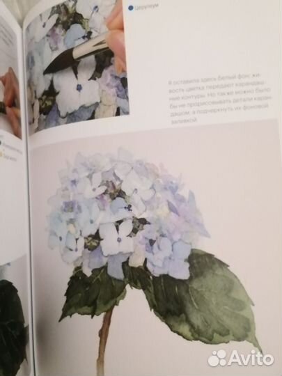 Акварельные цветы от Ай Накамуры