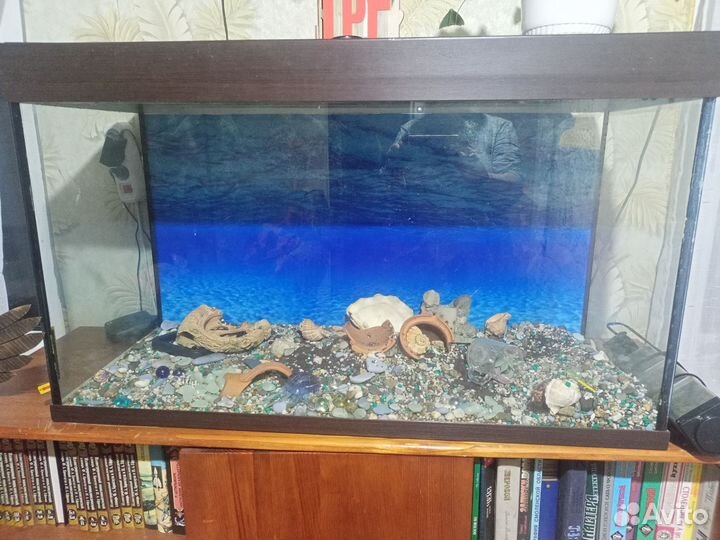 Аквариум