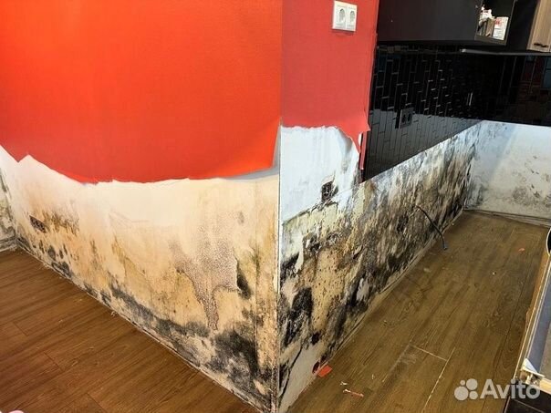 Сушка помещений, просушка после затопления квартир