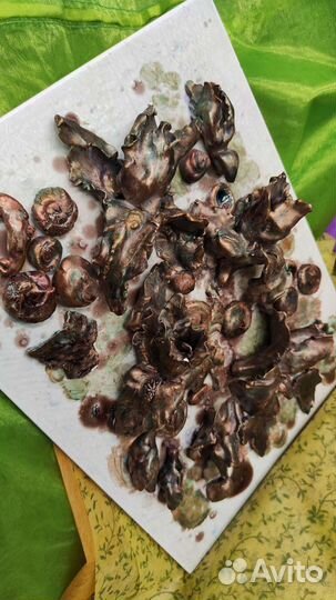 Авторская керамика. Панно