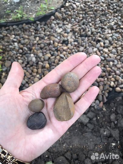 Декоративная галька