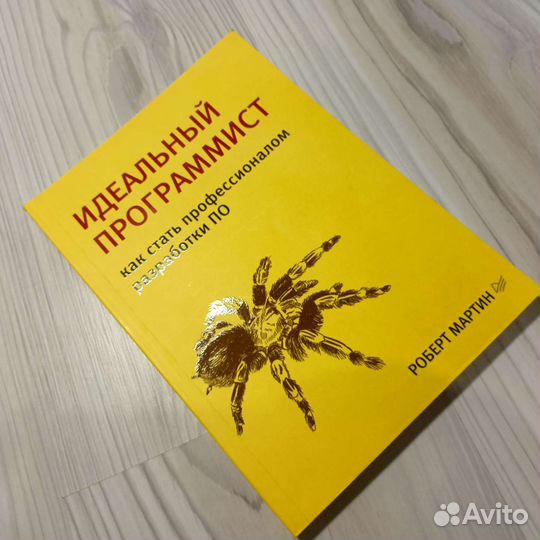 Идеальный программист, книга