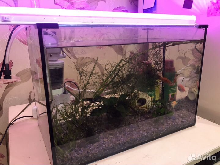 Аквариум