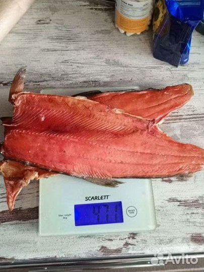 Горбуша, Кета