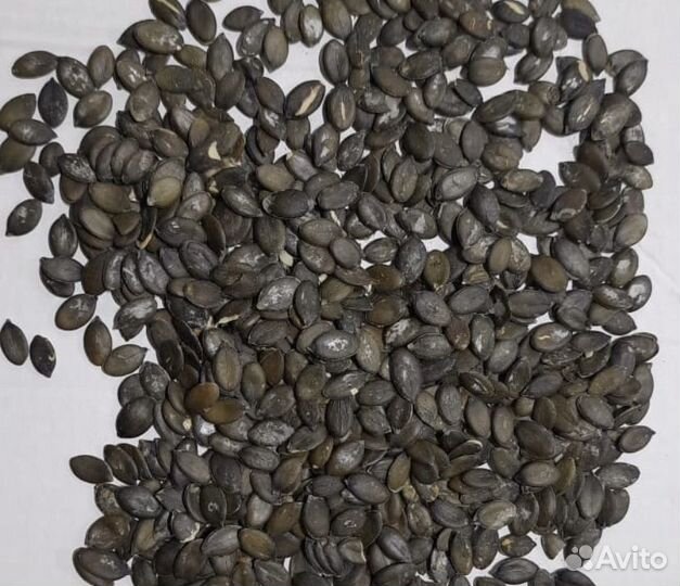 Штирийские семечки тыквы