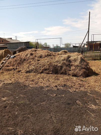 Навоз коровий