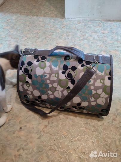 Переноска для животных бу