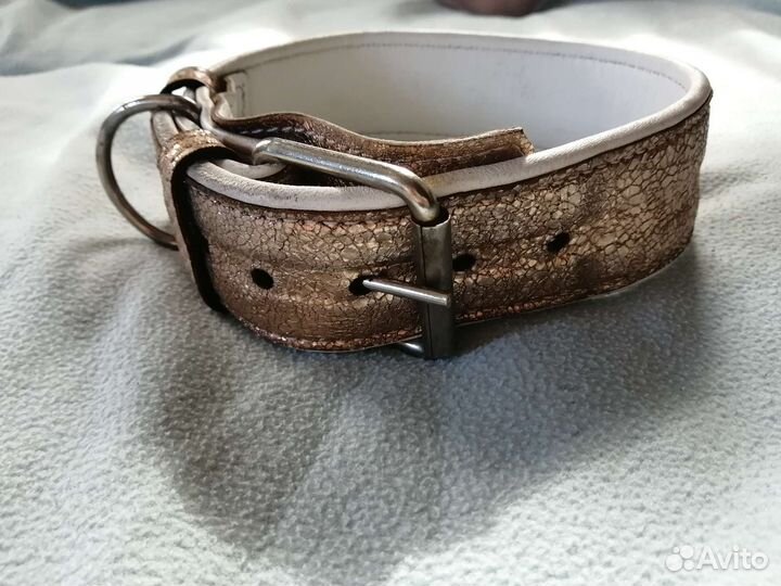 Ошейники для собак