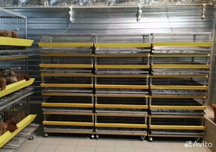 Клетка для перепелов с яйцесборником (99х56х35 см)