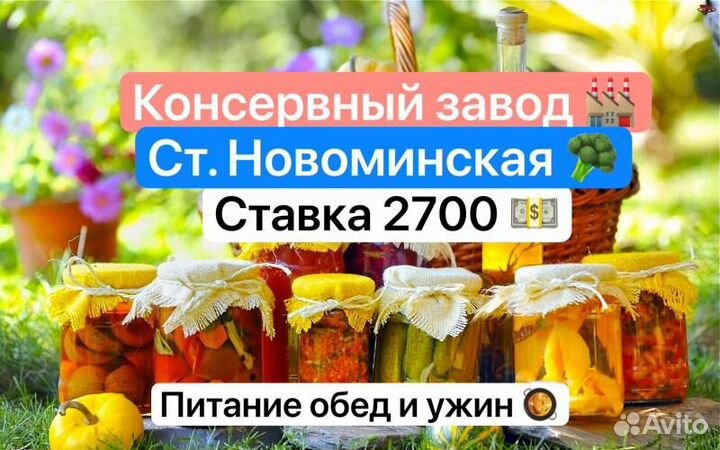 Сортировщики консервный завод Вахта оплата проезда