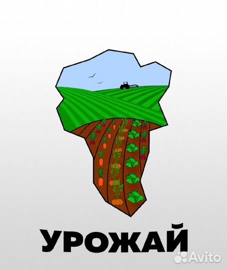 Феремерское хозяйство