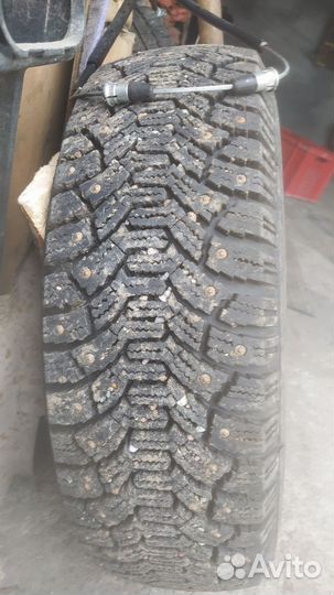 Cordiant Polar 175/70 R13