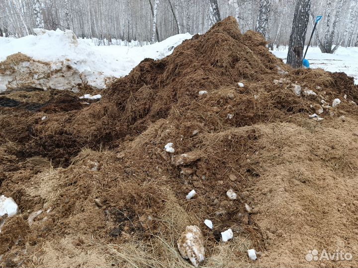 Конский навоз бесплатно