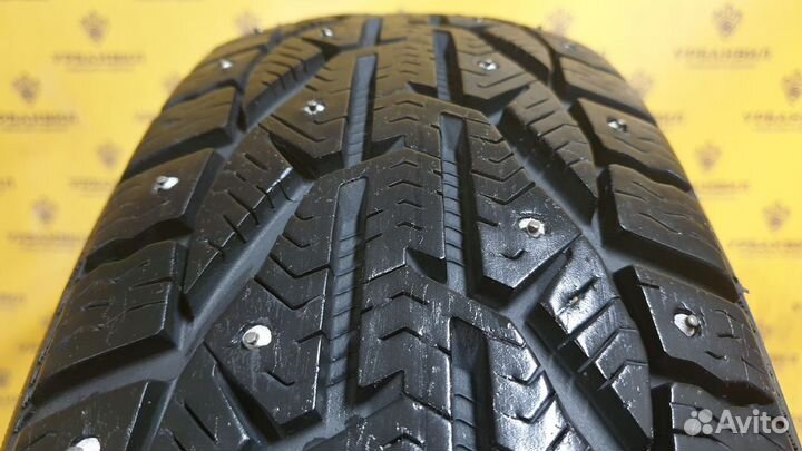 Tigar Ice 185/65 R15 92T