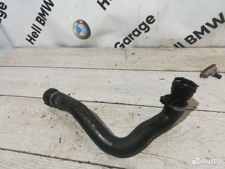 Патрубок радиатора BMW X5 E53