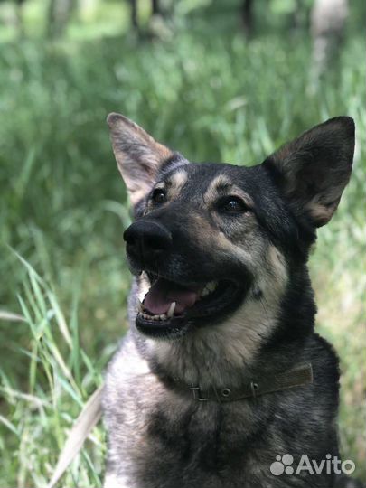 Милая девочка мечтает обрести дом