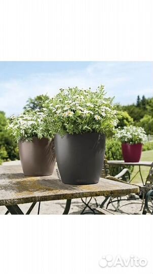 Кашпо с автополивом Lechuza Classico Color 21