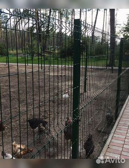 Металлический забор