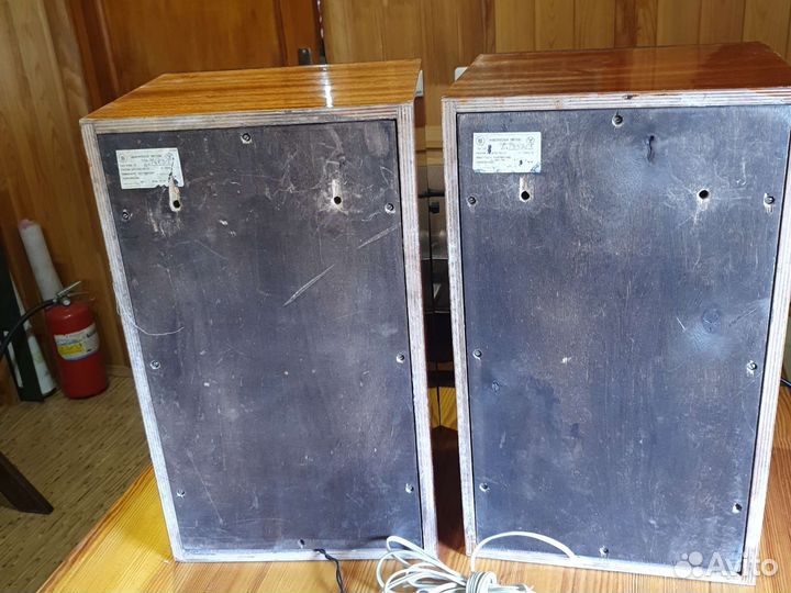 Акустика 25ас-309