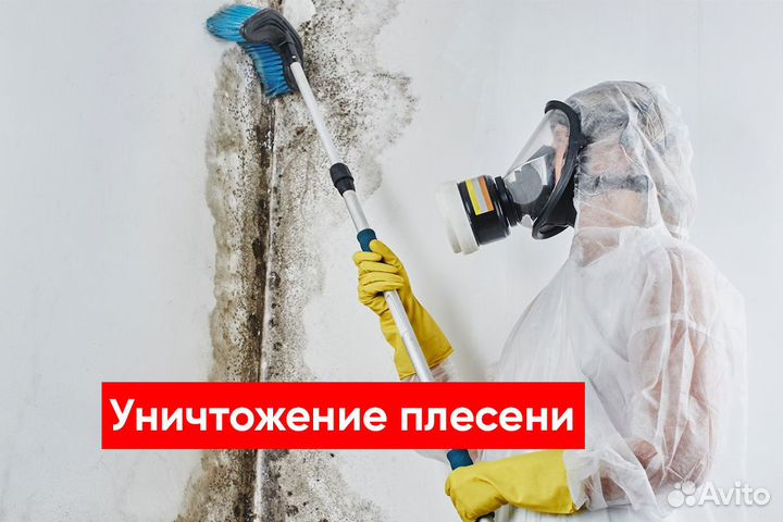 Уничтожение клопов, Уничтожение тараканов,Грызунов