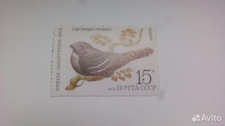 Марка 15к 1979 год СССР Козодой