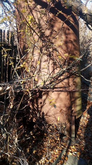 Участок 6 сот. (ИЖС)