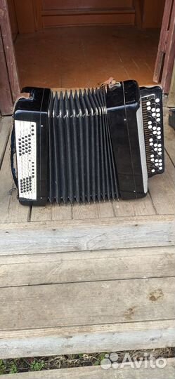 Баян тульский