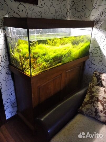 Продам аквариум травник