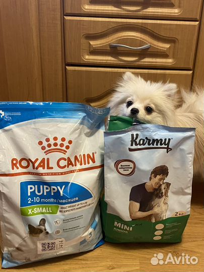 Корм для собак