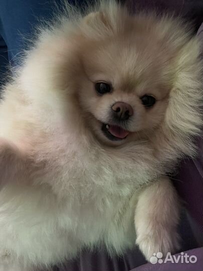 Шикарный мальчик для вязки. Развязан