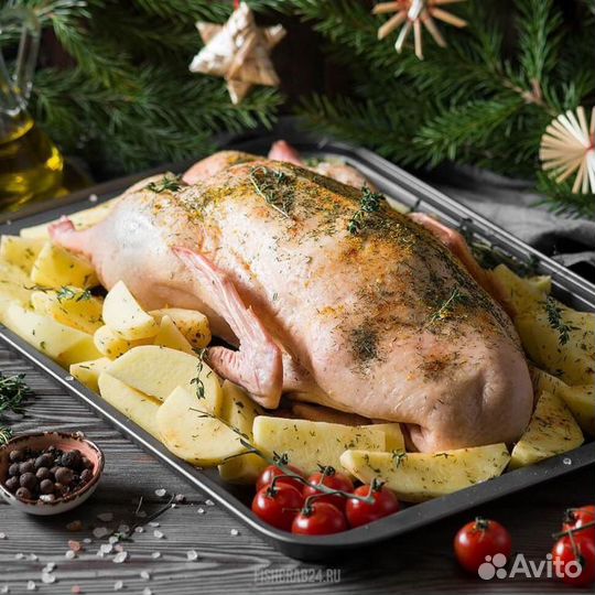 Гуси перепелки