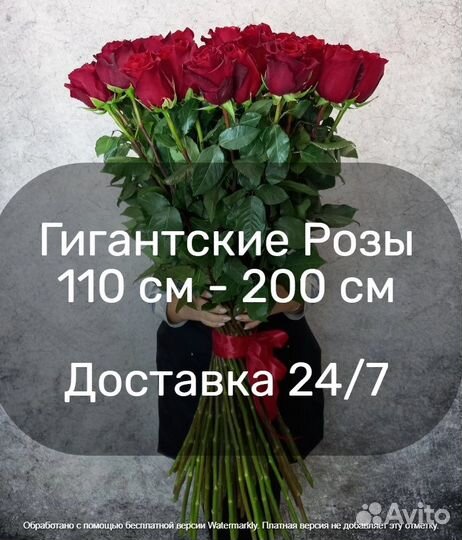 Метровые розы, доставка цветов