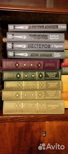 Жзл, Русская классика, школьная библиотека