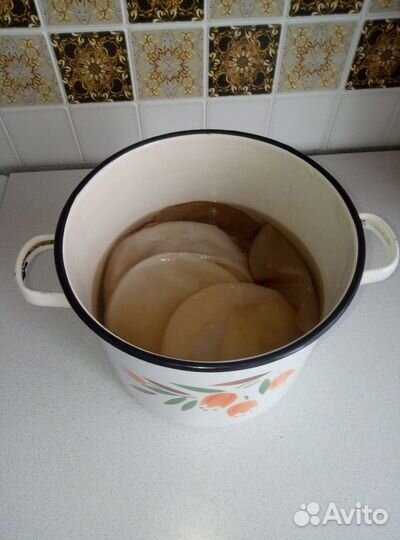 Чайный гриб