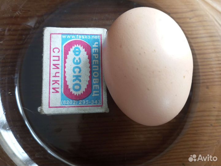 Жмых расторопши, льна, масло на корм