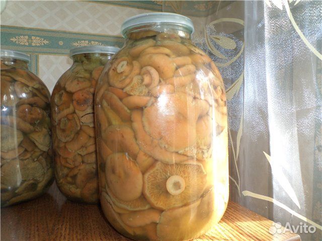 Грибы рыжики соленые