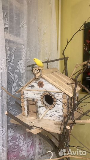 Кенар без глазика и нескольких пальчиков