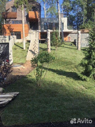 Рулонный газон