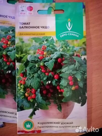 Семена томатов