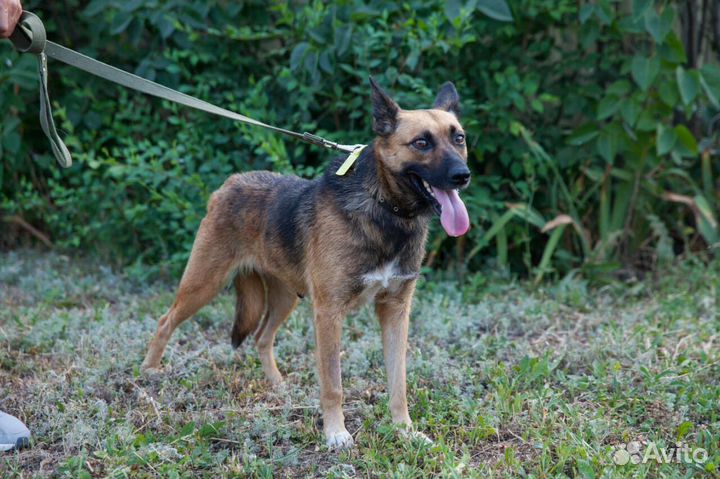 Помогите найти