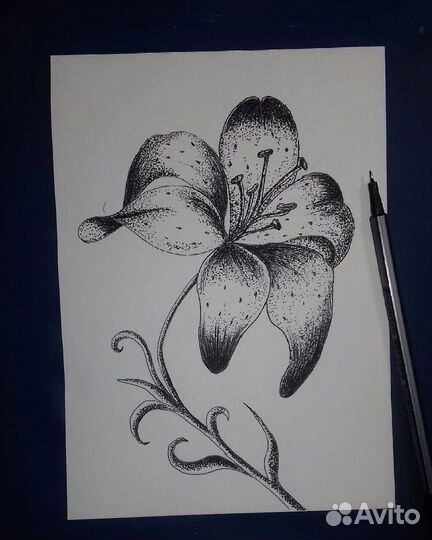 Рисунок графика