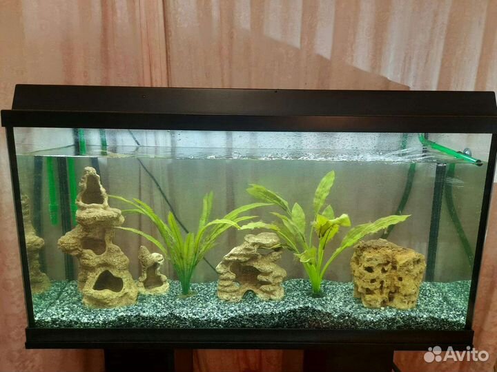 Аквариум