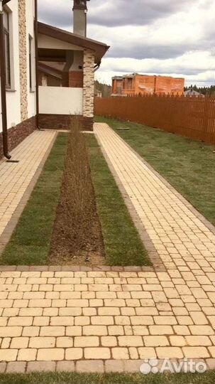 Рулонный газон