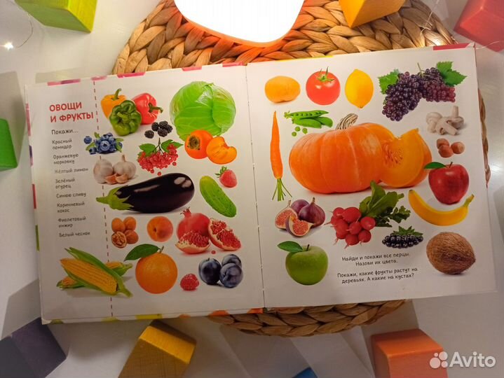 Книги clever найди и покажи