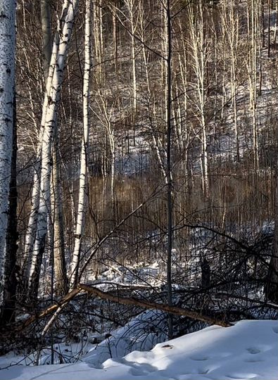 Участок 8 сот. (ИЖС)