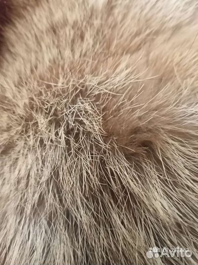 Меховой воротник лиса