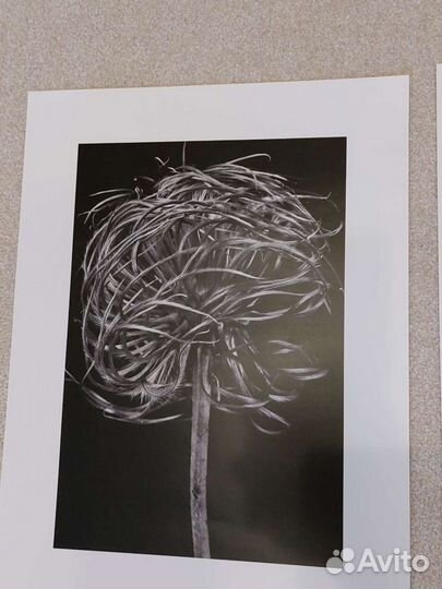 Картины и постеры