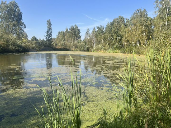 Участок 1,5 га (СНТ, ДНП)