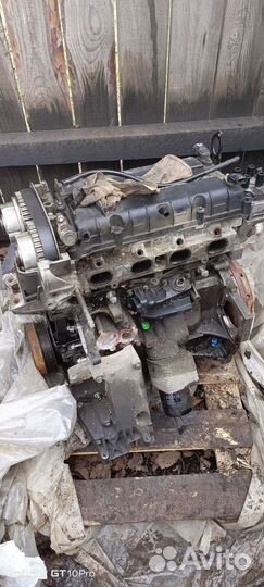 Двигатель ford focus 2 1.6 115 л с hxda